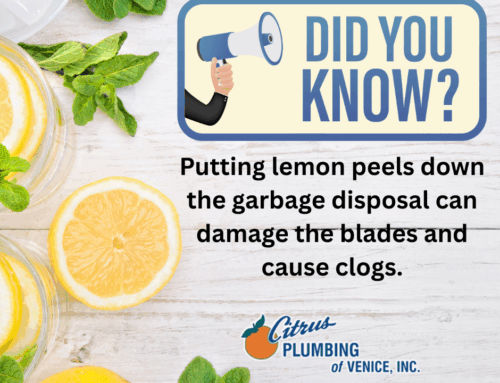 Did You Know – Don’t put lemon  peels in the garbage disposal